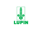 Lupin