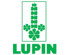 Lupin